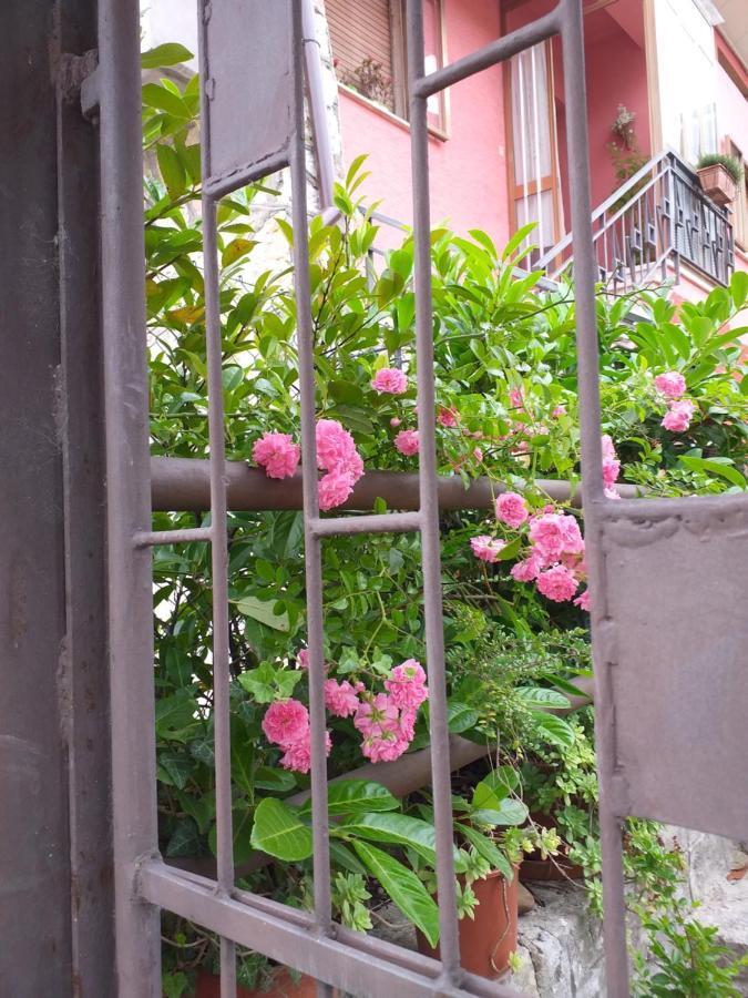 Bed & Breakfast La Rosa Rossa Кали Екстериор снимка